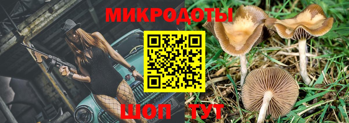 Всеволожск  Галлюциногенные грибы мухоморы  Вход с VPN  Галлюциногенные грибы прущие грибы 